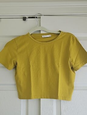 ZARA Short Sleeve Cropped Tee in Green